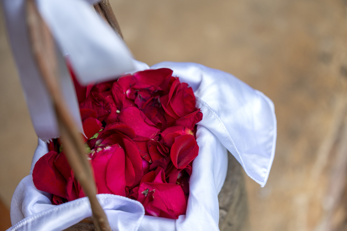 Deon-du-Plessis-Wedding-Photography-Stacey-and-Gert-2025-10-04-0247